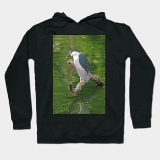 Heron with Green backdrop Hoodie